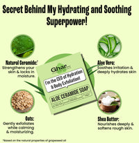 Aloe Ceramide Bar Soap — Hydrating & Skin-Restoring